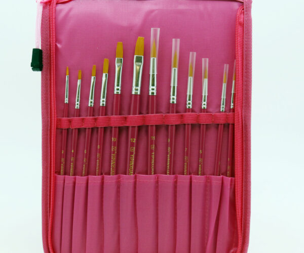 Paint Brushes Set for Art Drawings